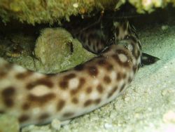 Had a good time last night down at the Cove...need to tak... by Oceanbio Lab Oceanbio Lab 